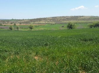 ÇANAKKALE GELİBOLU EVREŞE SATILIK YATIRIMLIK 6300 M2 UYGUN ARAZİ